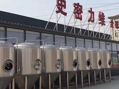 鄂城精酿啤酒设备厂—市场规模与跨界新需求